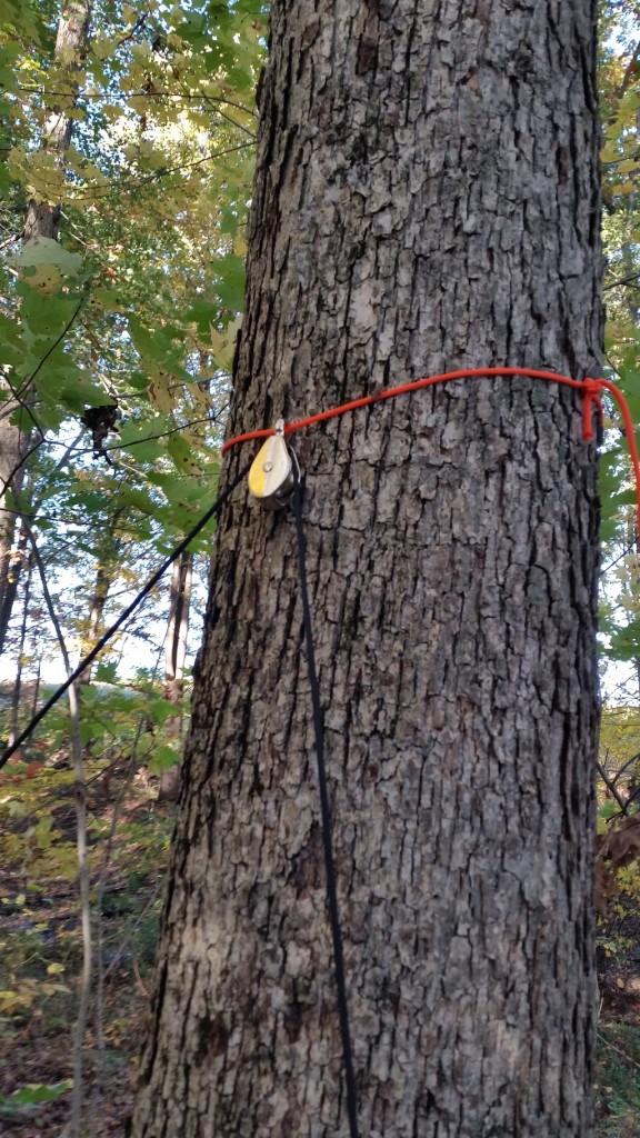 20151012_173715_zpsirhtgkro