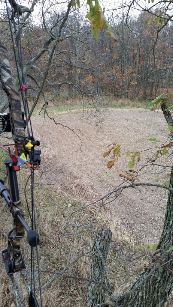 20151030_162508_zpssuopt09u