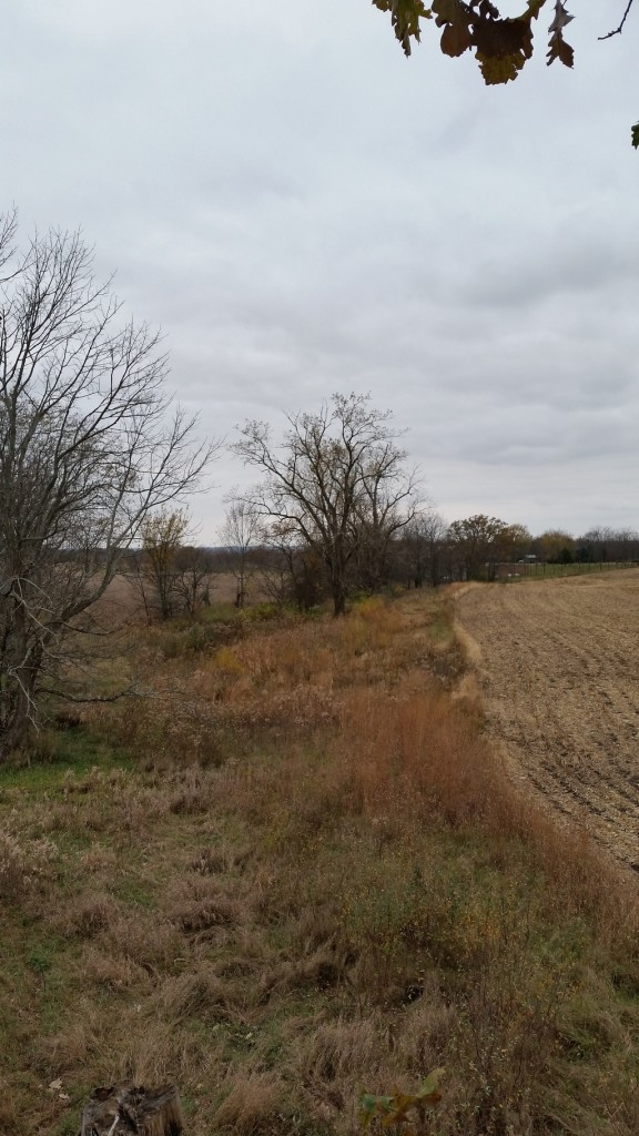 20151030_172822_zpsqewazokh