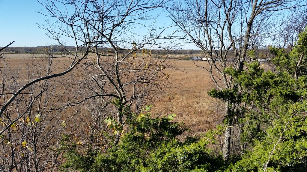 20151113_084051_zpspxidp96o