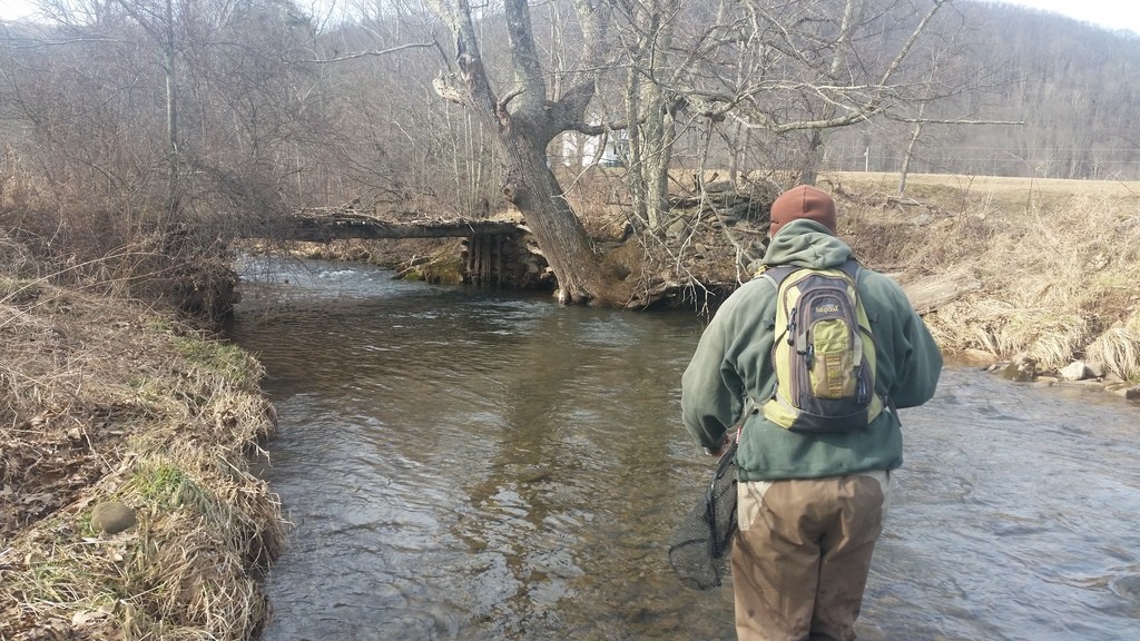 20160207_141306_zpscphubdvm